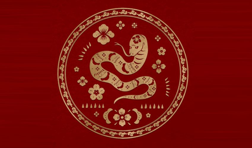 ano-serpente-chines