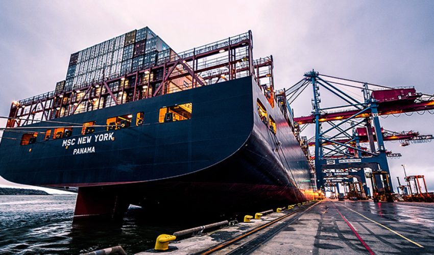 pexels-albin-berlin-906982